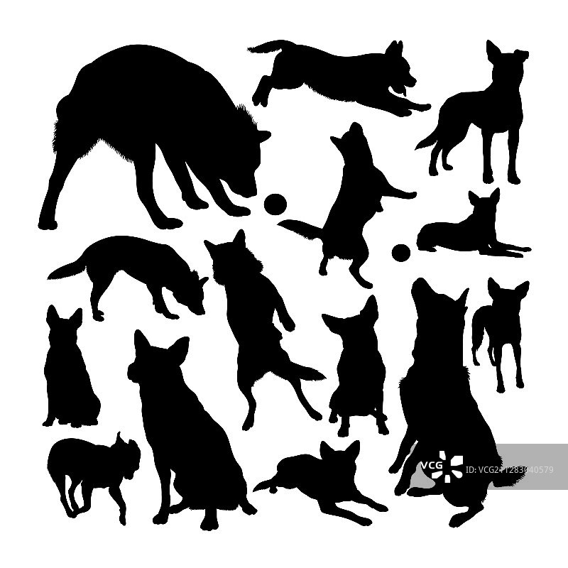 澳洲卡特犬剪影图片素材