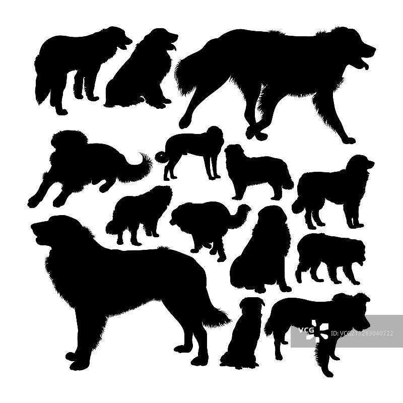 埃什特雷拉山地犬剪影图片素材