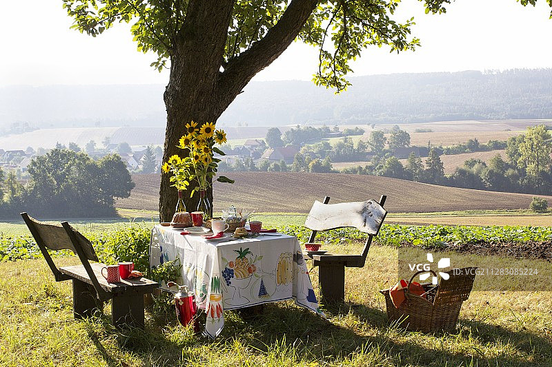 苹果树下，风景背景的下午茶邦特蛋糕图片素材