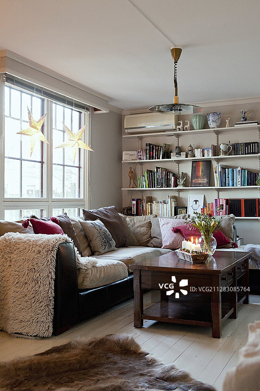 舒适客厅的窗户和书架下的沙发图片素材