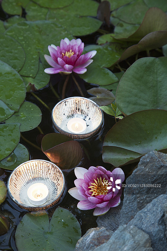 漂浮在睡莲池碗中的茶蜡烛图片素材