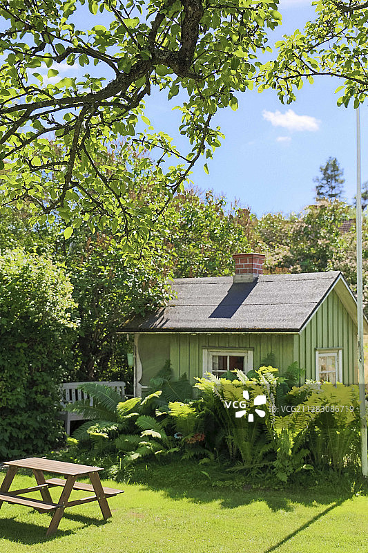 夏季花园高大蕨类植物后的小绿避暑小屋图片素材