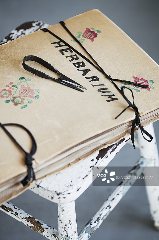 凳子上标有“植物标本”的复古绘图文件夹图片素材