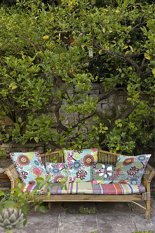 花园长椅上柠檬树前的彩色靠垫图片素材