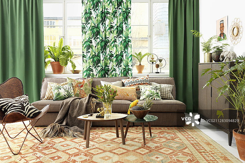 客厅里的城市丛林图片素材