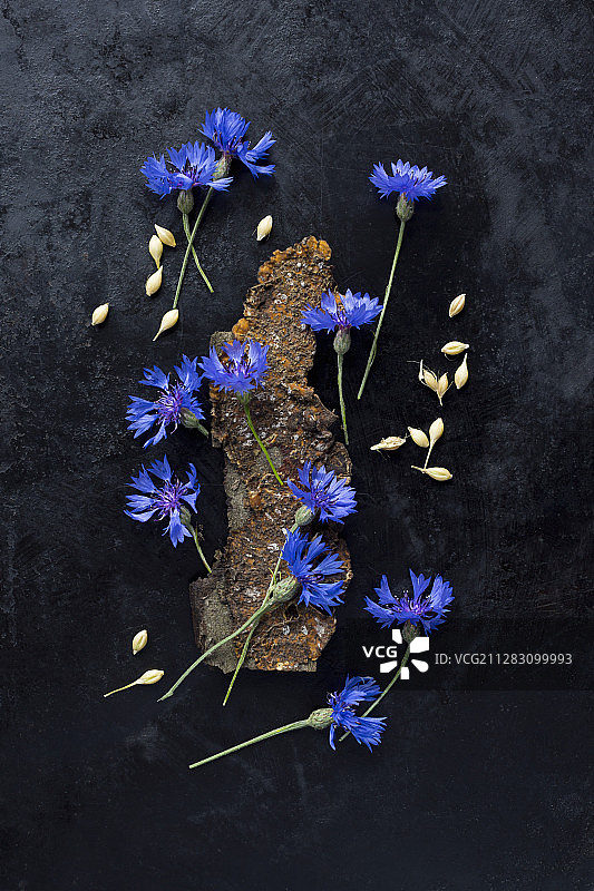 深色背景上的矢车菊和大麦图片素材