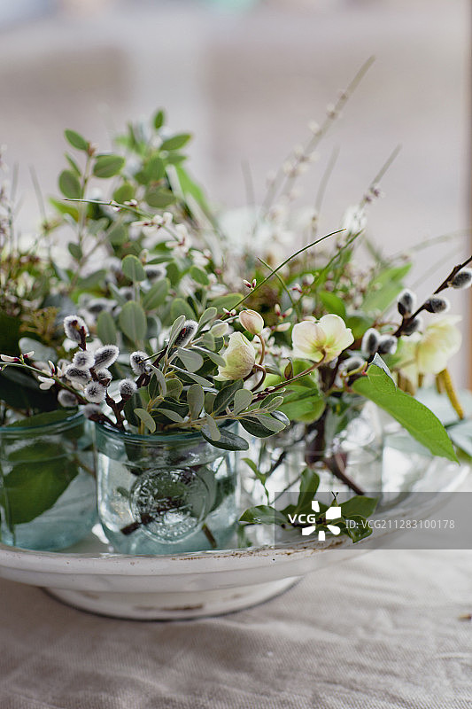 猫柳、嚏根草和树枝花束图片素材