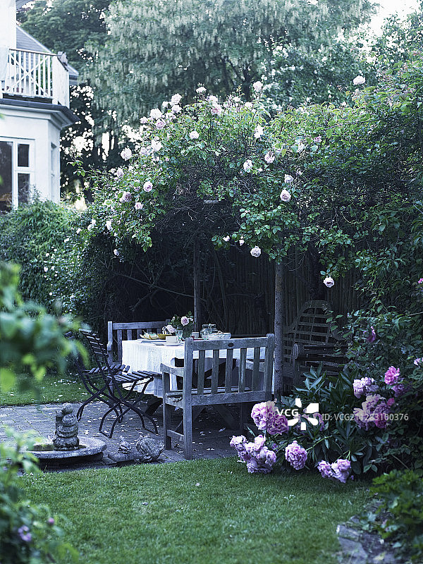 攀援玫瑰下阴凉处的休息区图片素材