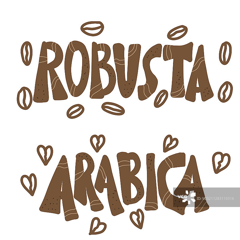 罗布斯塔和阿拉比卡咖啡混合品种图片素材