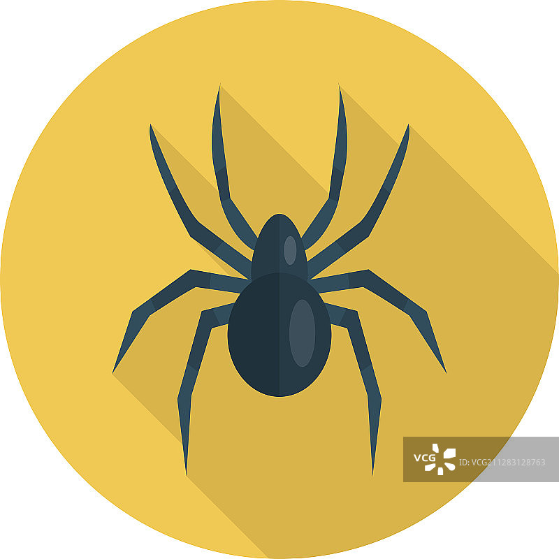 蜘蛛网图片素材