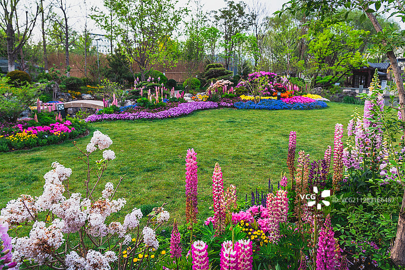 中式院子图片素材