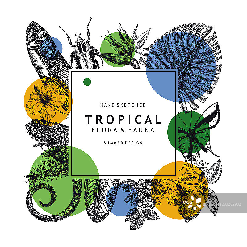 带几何元素的热带花环设计图片素材