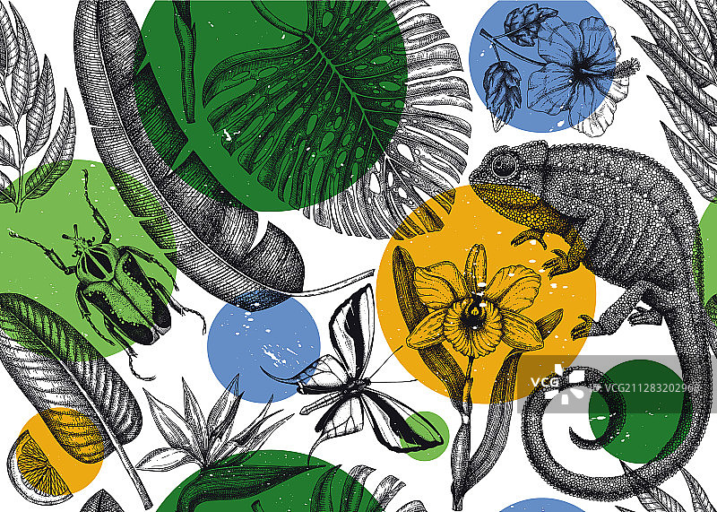 手绘热带无缝背景图案图片素材