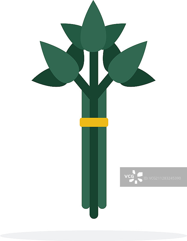 扁平风格绿色罗勒束素材设计图片素材