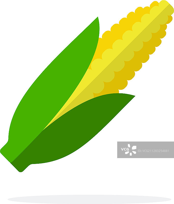 玉米棒扁平化设计独立元素图片素材