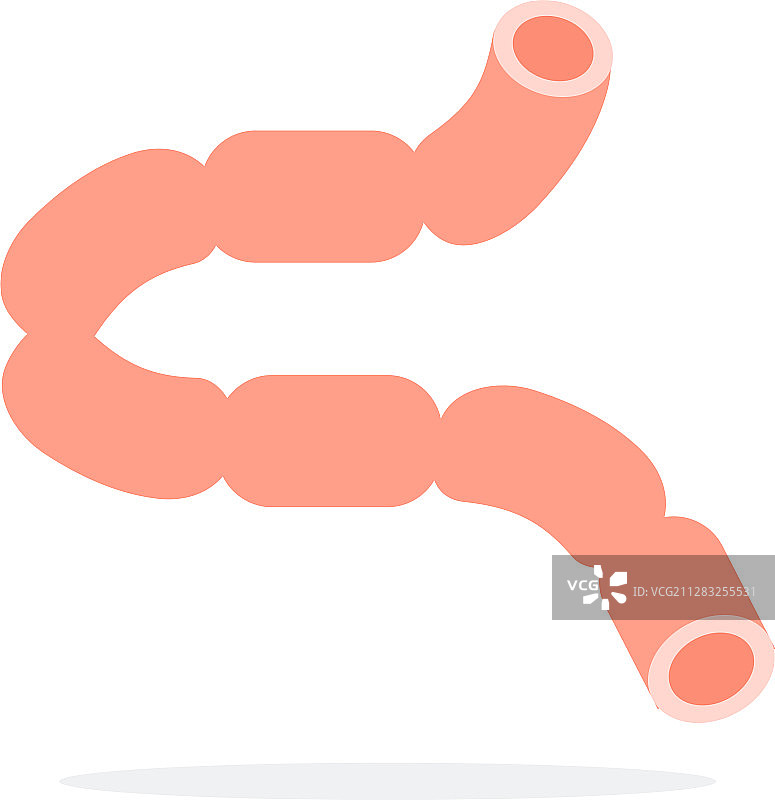 扁平风格的人体肠道素材图片素材