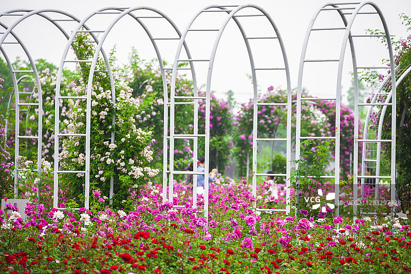 花园景观图片素材