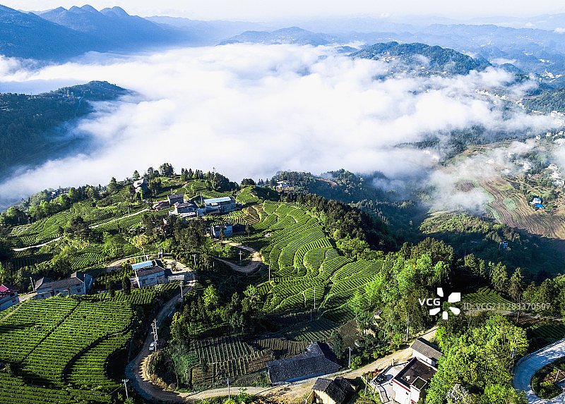 世界硒都恩施，茶山美景茶香万里图片素材