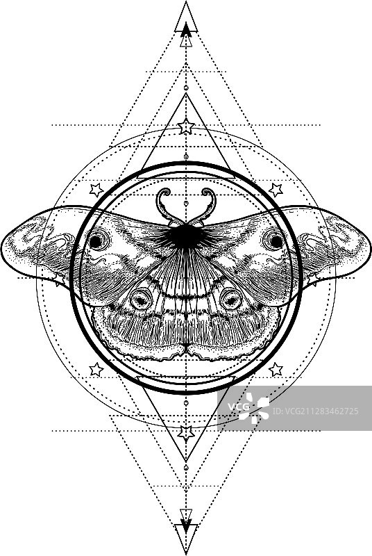 几何图案上的黑白飞蛾图片素材