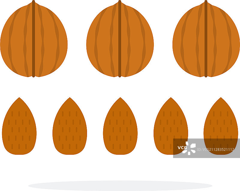 带壳和排列的核桃与杏仁扁平风格图片素材