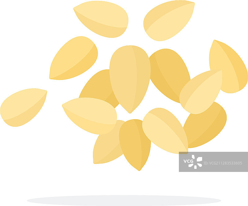 平铺的松子图片素材