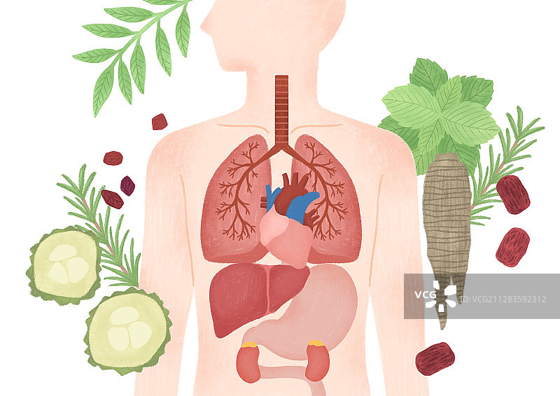 扁平化风格的替代医学和疗法概念插画 009图片素材