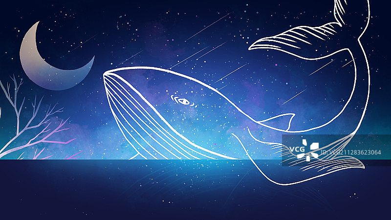星空下的海面上的鲸鱼图片素材