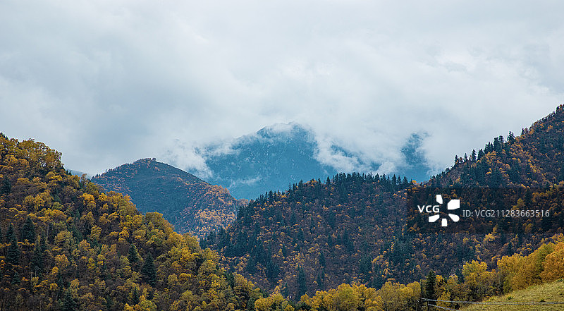 北山林场图片素材