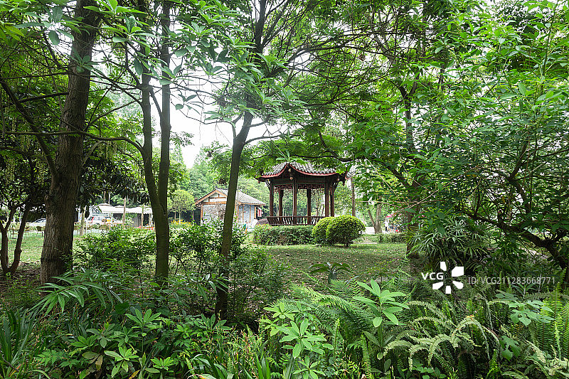 四川成都郫都区三道堰镇青杠树景区茂密树林中的凉亭图片素材