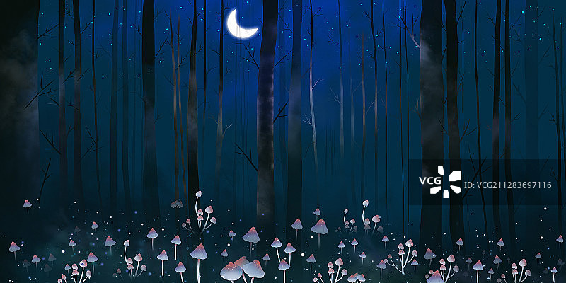 夜晚的神秘森林图片素材