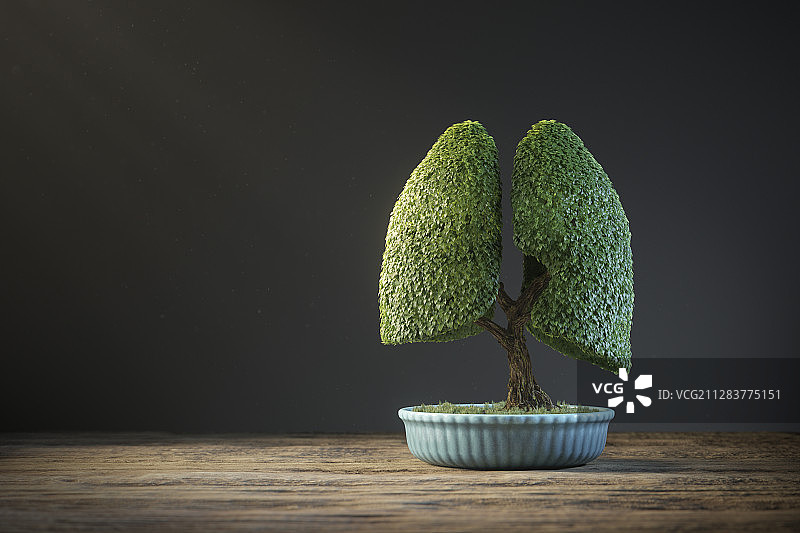 肺部盆景图片素材