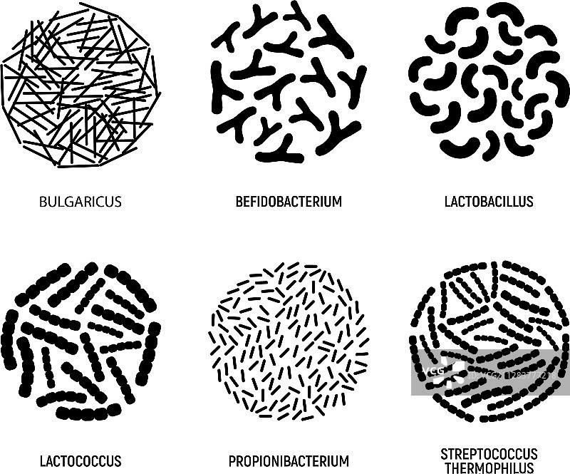 益生菌图标概念标志标签素材图片素材