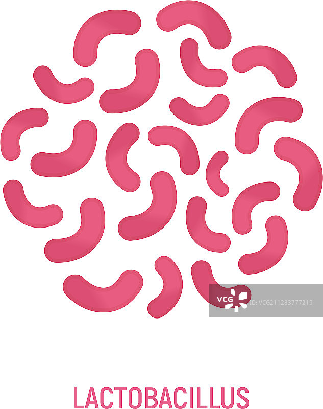 乳杆菌图标益生菌概念标识图片素材