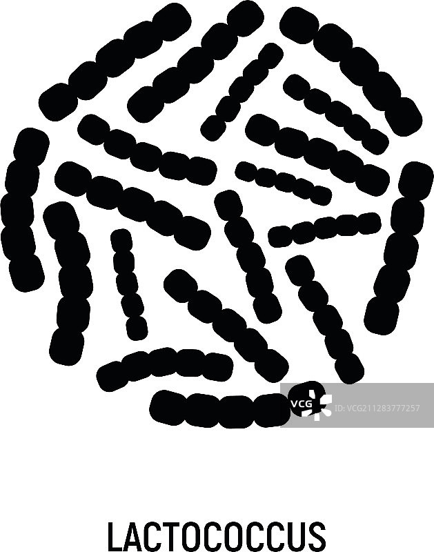 乳球菌益生菌概念标志和标签图片素材