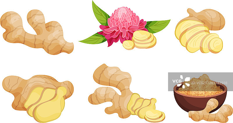 隔离的陶瓷碗里的姜根和姜粉图片素材