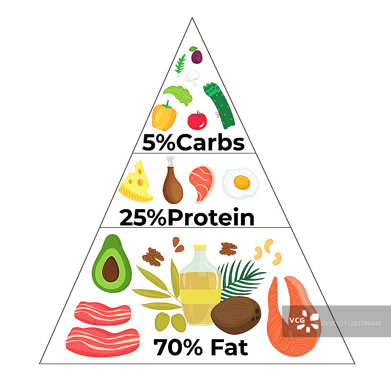 低碳高脂的酮饮食食物金字塔图片素材