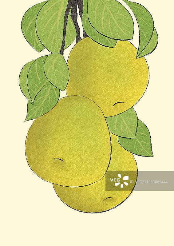 大雪-柚子图片素材