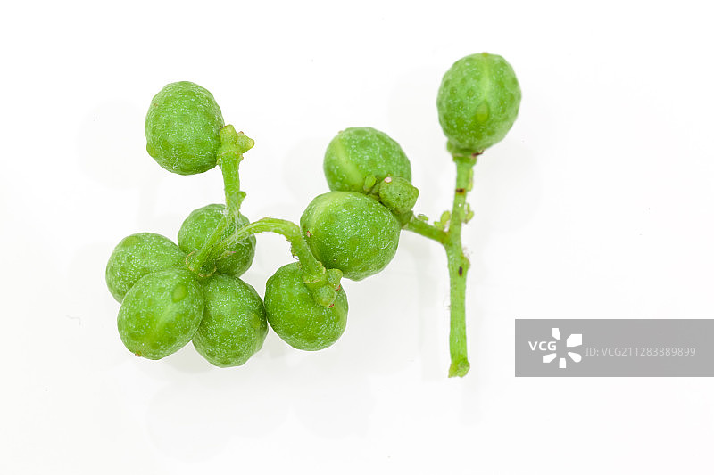 青花椒在白色背景上图片素材