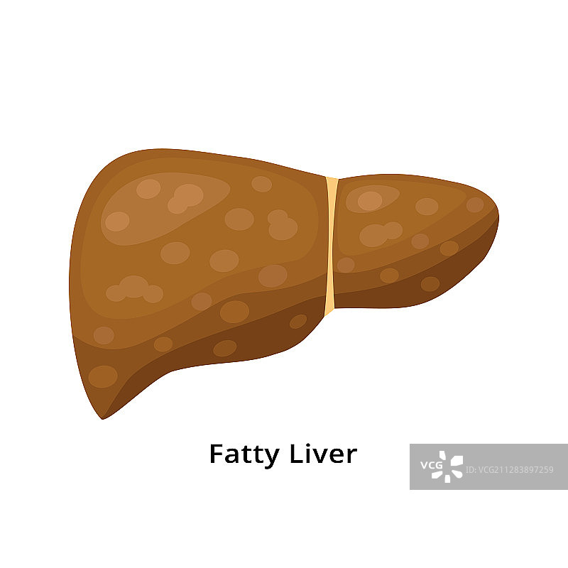 白色背景上的脂肪肝图标图片素材