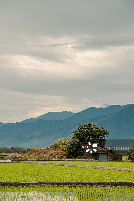 伯朗大道图片素材