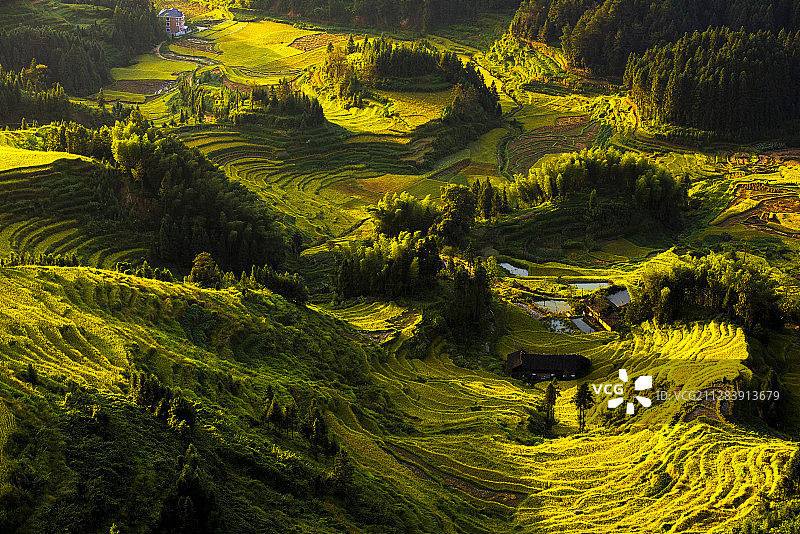 紫鹊界秋色图片素材