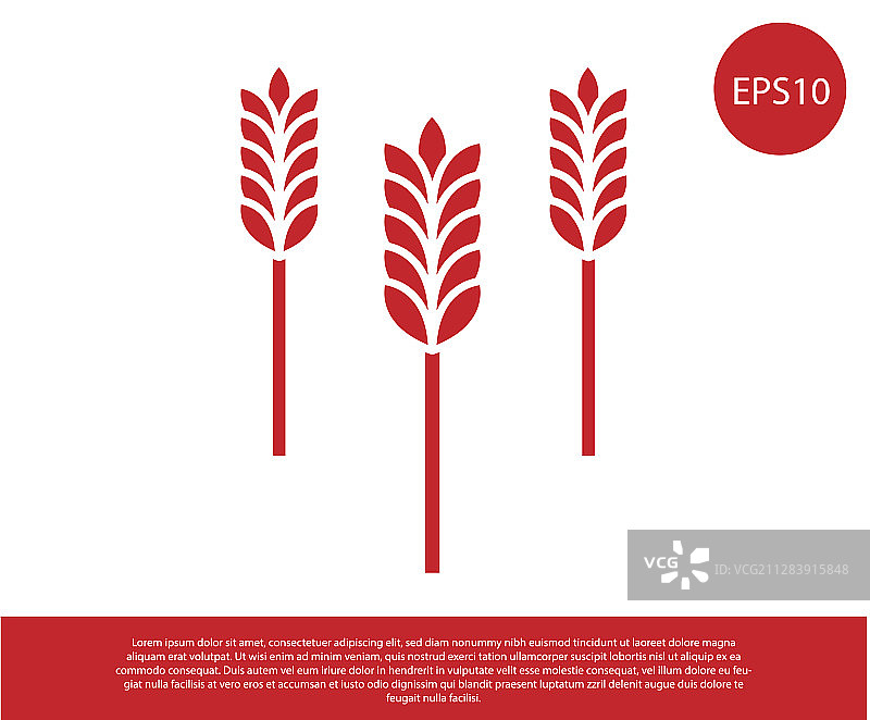 红色谷物集合（大米、小麦、玉米、燕麦、黑麦）图片素材