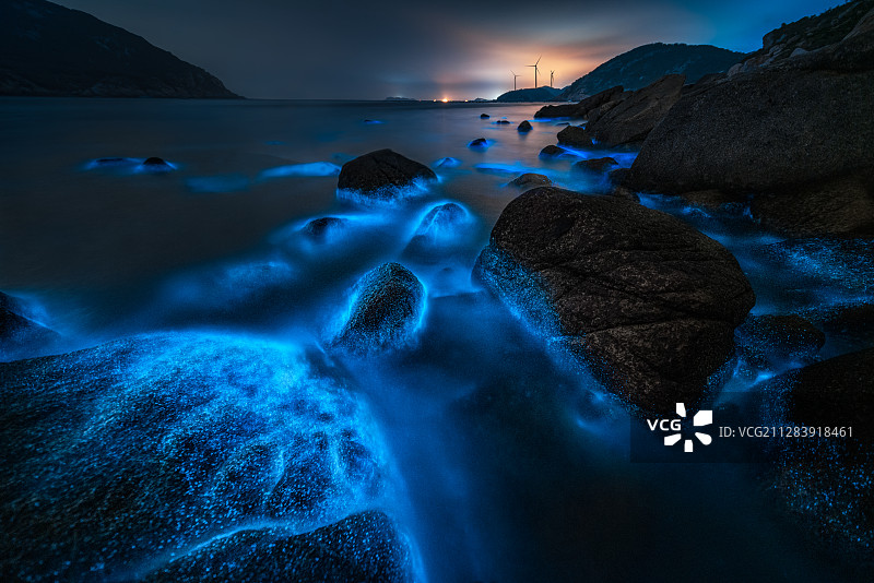 平潭岛礁石海滩的蓝眼泪奇观图片素材