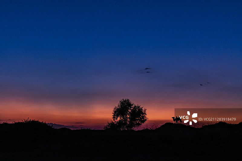 腾格里沙漠通湖草原日落骆驼剪影图片素材