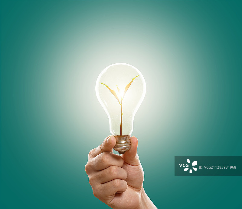 创意灯泡幼苗节能环保海报图片素材
