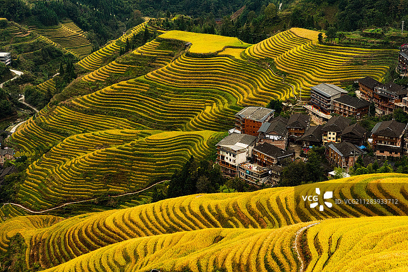 阴雨天的广西龙胜梯田图片素材