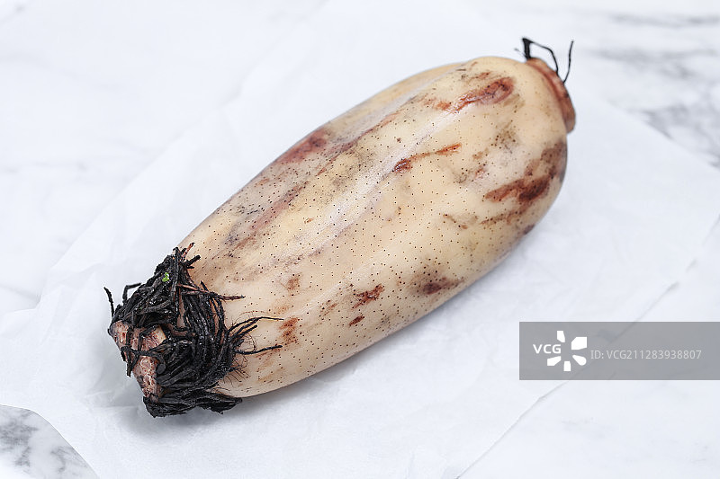 一根新鲜的莲藕图片素材