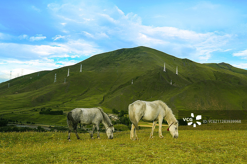 都桥之美，摄影天堂—新都桥又叫东俄罗，是一个镇名。图片素材