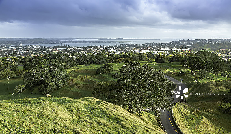 新西兰奥克兰肯威尔公园图片素材
