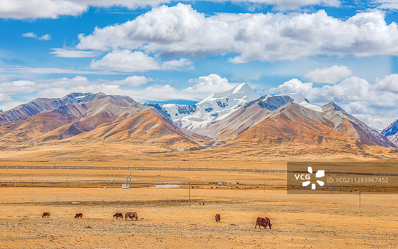 可可西里图片素材